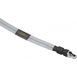 Wireworld PLATINUM STARLIGHT 10 CAT8 - Kabel Ethernet/LAN (PSE) - 1mb